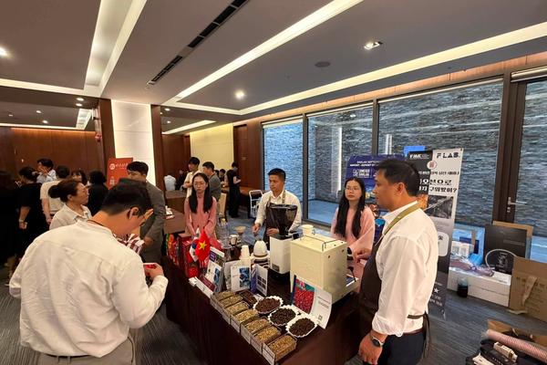 Đắk Lắk định vị hạt cà phê trên thị trường quốc tế