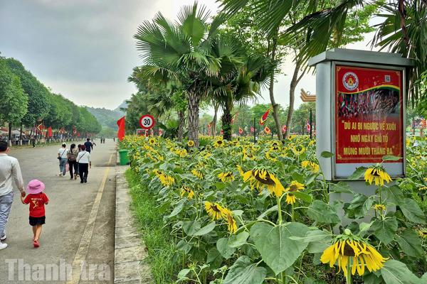 Phú Thọ đón 350.000 lượt khách, công suất phòng nghỉ dưỡng đạt 95%