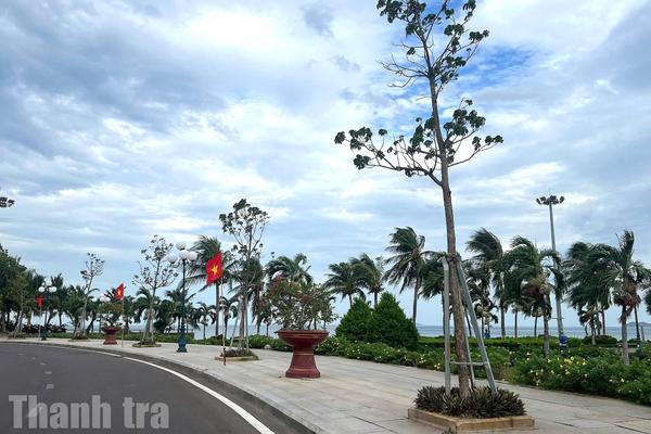 Thanh tra Gia Lai "gọi tên" nhiều vi phạm tại Ban Quản lý dịch vụ công Quy Nhơn