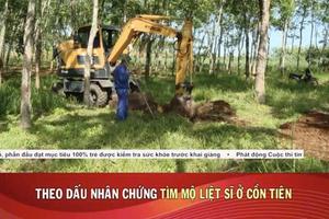 Quảng Trị: Thành lập Ban Tổ chức Hội thảo xác minh, kết luận thông tin về liệt sĩ, mộ liệt sĩ tại khu vực Cồn Tiên