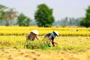 Nguy cơ El Nino: Giữ được nước sinh hoạt để giữ an toàn đời sống và dư địa tăng trưởng