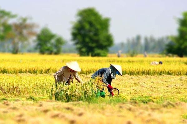 Nguy cơ El Nino: Giữ được nước sinh hoạt để giữ an toàn đời sống và dư địa tăng trưởng