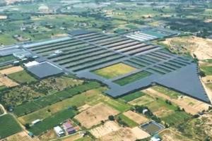 Khánh Hòa có thêm cơ sở bảo tồn đa dạng sinh học: Địa phương và người dân được gì?