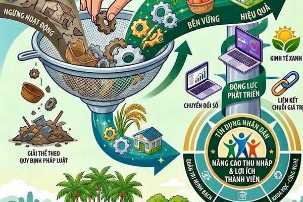 “Gạn đục khơi trong”, Vĩnh Long quyết phát triển kinh tế tập thể chất lượng trong năm 2027