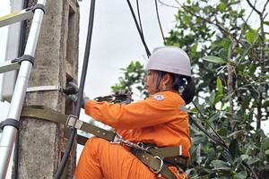 Không có nghề nào dành riêng cho nam giới