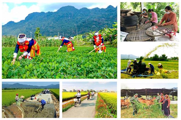 Chương trình mục tiêu quốc gia: Giải ngân nguồn vốn chưa đạt kỳ vọng