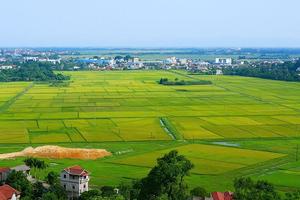 Rà soát, đơn giản hóa thủ tục, đẩy nhanh tiến độ giải quyết hồ sơ đất đai