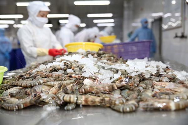 Thủy sản “nhắm” thị trường châu Á để vững đà tăng trưởng