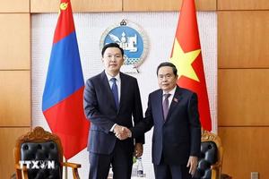Quan hệ Đối tác toàn diện Việt Nam - Mông Cổ ngày càng phát triển sâu rộng, thực chất