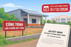 Cà Mau: Yêu cầu xử lý dứt điểm công trình lấn chiếm đất công tại phường Bạc Liêu