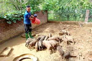 Lào Cai: Câu chuyện làm kinh tế mở hướng thoát nghèo của Trưởng thôn Tu San