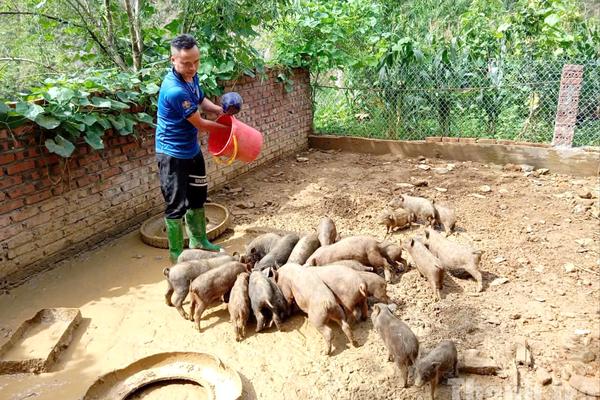 Lào Cai: Câu chuyện làm kinh tế mở hướng thoát nghèo của Trưởng thôn Tu San