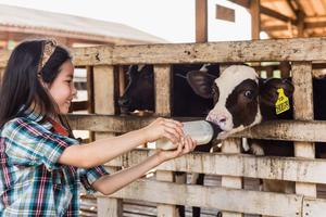 Chăn nuôi không chỉ tạo ra thịt, trứng, sữa mà còn gắn trực tiếp sinh kế người dân