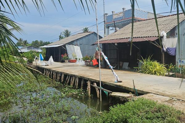 Cà Mau cụ thể hóa mục tiêu đưa đường bê tông đến 100% khóm, ấp