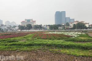 Hà Nội: Tăng 17 bậc, lọt top 10 cả nước về làm sạch cơ sở dữ liệu đất đai