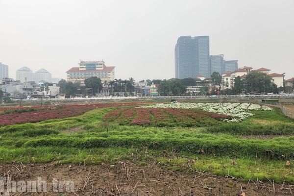 Hà Nội: Tăng 17 bậc, lọt top 10 cả nước về làm sạch cơ sở dữ liệu đất đai