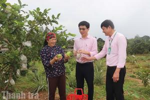 Nguồn vốn chính sách “mở lối” việc làm ở nông thôn Quảng Trị