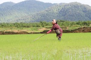 Tín dụng chính sách “tiếp sức” cho người dân Cố đô Huế