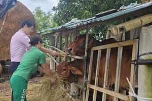 Một phường ở Quảng Trị kêu gọi chung tay tạo nguồn vốn tín dụng chính sách