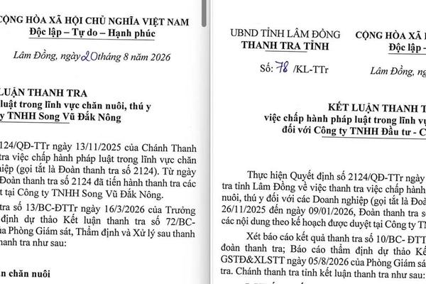 3 doanh nghiệp chăn nuôi ở Lâm Đồng để phát tán mùi hôi ra môi trường