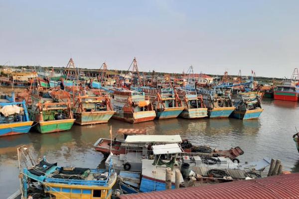 Đồng Tháp: Triển khai phát triển Khu kinh tế ven biển Gò Công giai đoạn 2026 - 2030