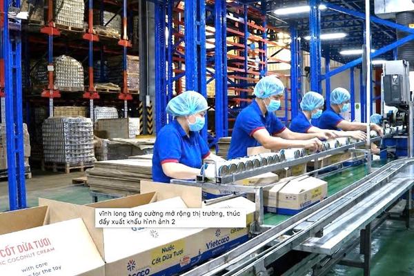 Xuất khẩu đạt 2,8 tỷ USD, Vĩnh Long vươn lên đứng thứ 2 khu vực Đồng bằng Sông Cửu Long