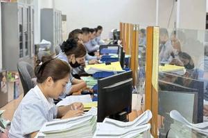 Nguyên tắc bố trí và tiêu chí thay đổi bậc nghề nghiệp theo vị trí việc làm
