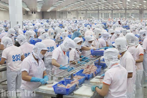 An Giang chuyển hướng thu hút đầu tư, ưu tiên dự án chất lượng