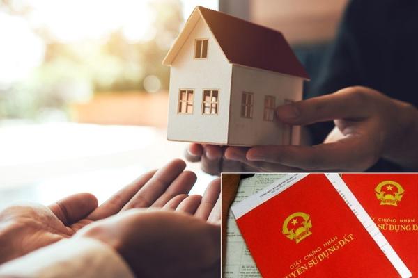 Căn cứ cấp sổ đỏ lần đầu với đất đai do cha ông để lại