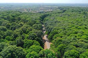 Thanh tra Bắc Ninh: 4,32 ha rừng tự nhiên phòng hộ bị phá, 150 mốc chưa cắm