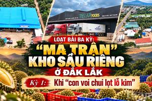 Kỳ 1: Khi “con voi chui lọt lỗ kim”