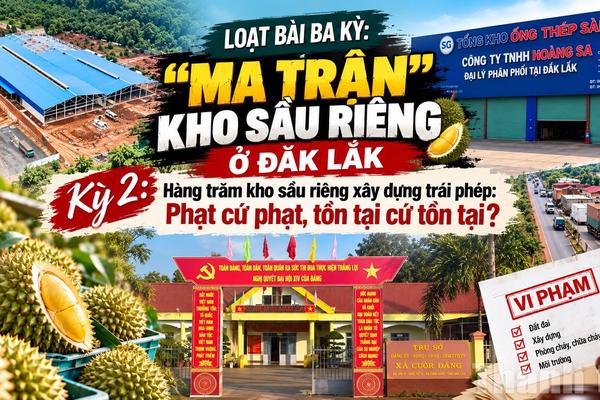 Kỳ 2: Hàng trăm kho sầu riêng xây dựng trái phép: Phạt cứ phạt, tồn tại cứ tồn tại?