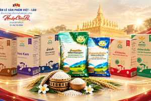 Gạo, trà, trầm hương Lào tìm thêm cơ hội tiếp cận người tiêu dùng Hà Nội