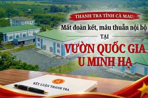 Cà Mau: Mất đoàn kết, mâu thuẫn nội bộ tại Vườn Quốc gia U Minh Hạ