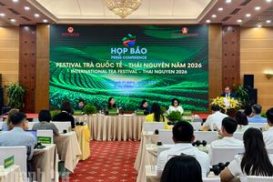 Thái Nguyên tổ chức Festival Trà Quốc tế năm 2026, hướng tới đưa thương hiệu trà vươn xa