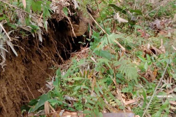 Thanh Hóa công bố tình huống khẩn cấp sạt lở tại 2 bản ở xã Trung Hạ