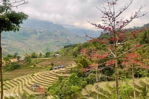 Địa phương có thể đề xuất sắp xếp lại xã, phường nếu thật sự cần thiết