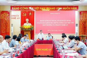 Ủy ban Kiểm tra Trung ương giám sát việc tháo gỡ dự án tồn đọng tại Nghệ An