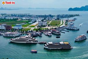 Quảng Ninh tăng trưởng 12,54%, thu ngân sách vượt 80.000 tỉ đồng