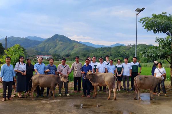 Lào Cai: Đa dạng sinh kế, khơi dậy nội lực giảm nghèo bền vững ở Nghĩa Đô