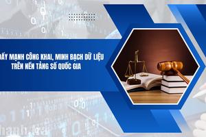 Đẩy mạnh công khai, minh bạch dữ liệu trên Nền tảng số quốc gia