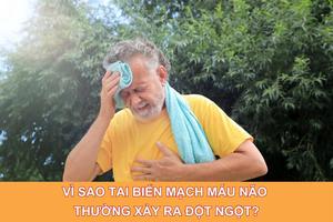 Vì sao tai biến mạch máu não thường xảy ra đột ngột?