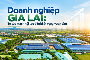 Doanh nghiệp Gia Lai: Từ sức mạnh nội lực đến khát vọng vươn tầm
