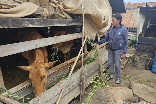 Đắk Lắk đối mặt nhiều thách thức trong công tác giảm nghèo
