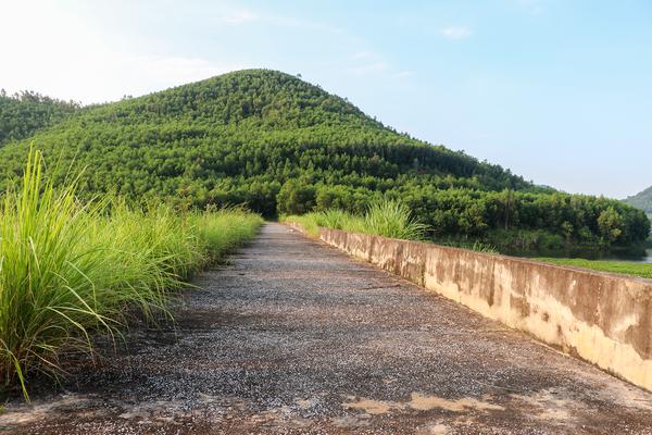 Nghệ An: Tháo gỡ vướng mắc các dự án kéo dài tại Tri Lễ, Đông Hiếu để tránh lãng phí