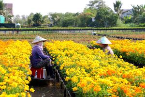 Đồng Tháp: Đột phá chất lượng nguồn nhân lực, hướng tới phát triển bền vững và hiện đại