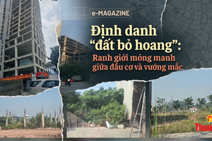 Bài 3: Định danh đất bỏ hoang: Ranh giới mỏng manh giữa đầu cơ và vướng mắc
