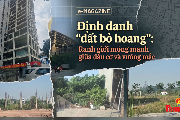 Bài 3: Định danh đất bỏ hoang: Ranh giới mỏng manh giữa đầu cơ và vướng mắc