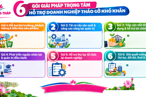 Đồng Tháp: Triển khai 6 "gói" giải pháp đồng bộ tháo gỡ khó khăn cho doanh nghiệp