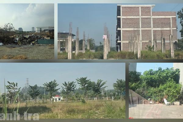 Bài 1: Vì sao cần đánh thuế đất bỏ hoang?